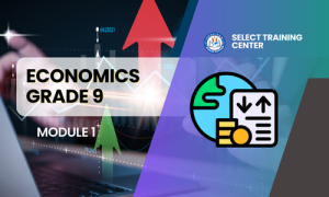 Economics Grade 9: Semester 1
